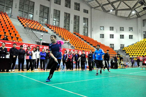 航泰杯職工羽毛球團體賽圓滿落幕，飾品銷售助力賽事氛圍